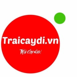 Thiết kế Website bán hàng và vận hành hệ thống Đại lý/CTV traicaydi